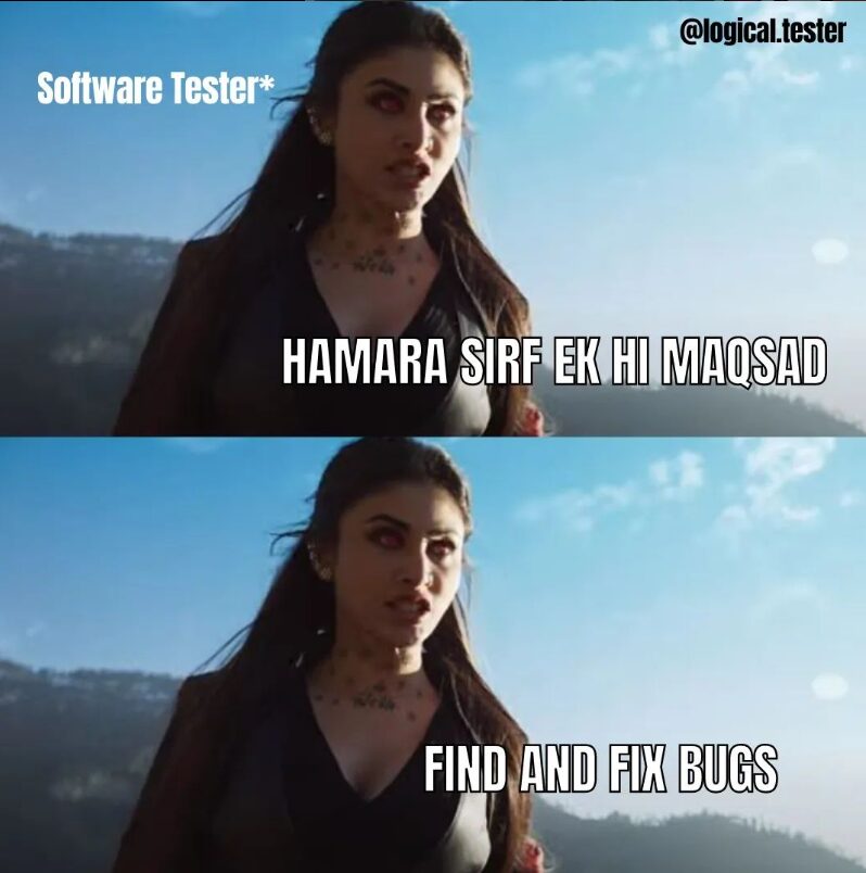 Software Testing Memes